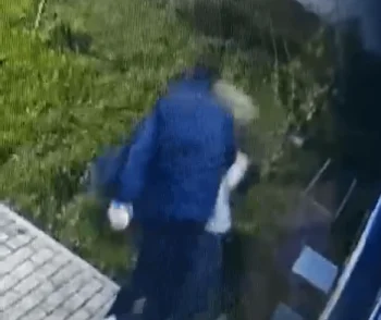 Кадр с видео
