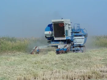 Фото kzvesti.kz